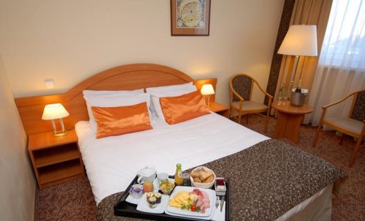 Hotel Mercure Torun Centrum