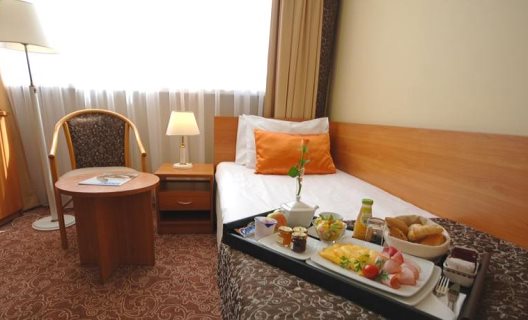 Hotel Mercure Torun Centrum