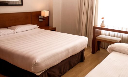 Hotel Miera
