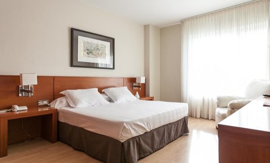 Hotel Miera