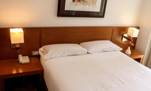 Hotel Miera