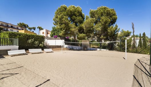 Hotel Mimosa Park