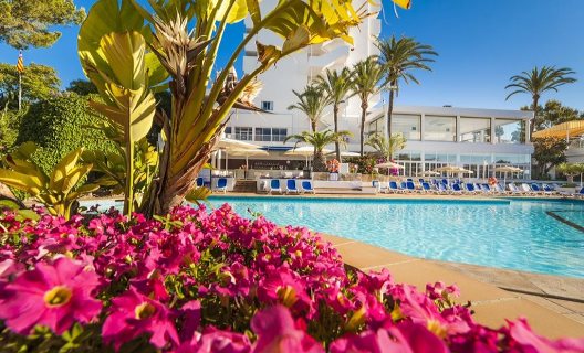 Hotel Mimosa Park