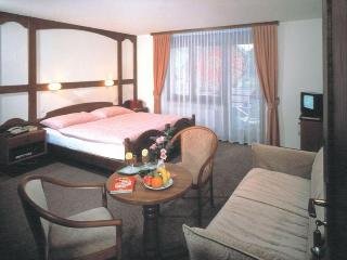 Hotel Minotel Central