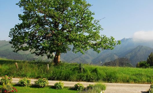 Hotel Mirador Del Sella