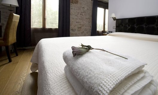 Hotel Moli De La Torre