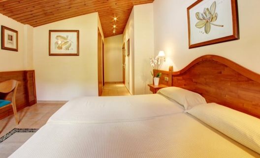 Hotel Montané