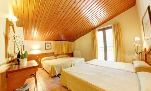 Hotel Montané