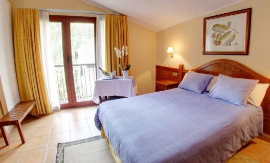 Hotel Montané