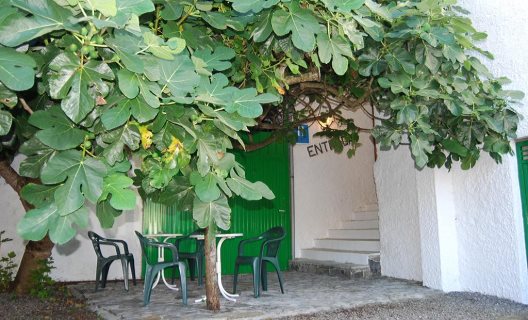 Hotel Monte Y Mar