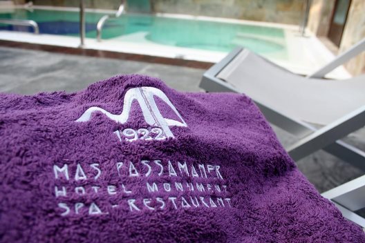 Hotel Monumento Mas De Passamaner