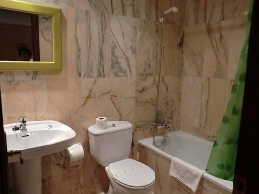 Hotel Narcea