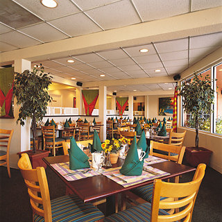 Hotel Nassau Palm