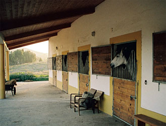 Hotel Naturarte