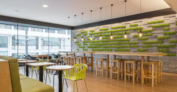 Hotel Neat Avenida