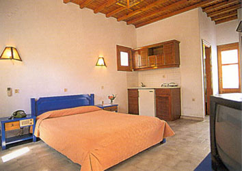 Hotel Neos Petinos