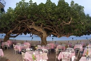 Hotel New Otani Kaimana Beach