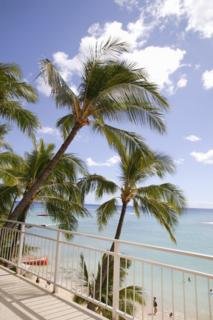 Hotel New Otani Kaimana Beach