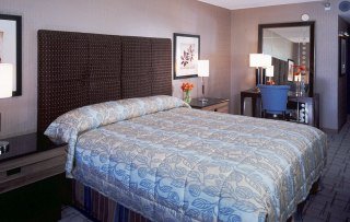 Hotel New York New York & Casino