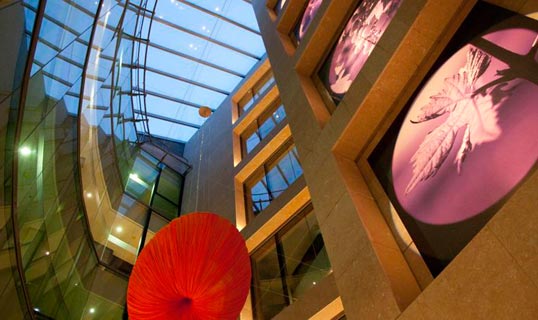 Hotel Nexus Valladolid Suites