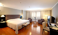 Hotel Nh Della Volpe