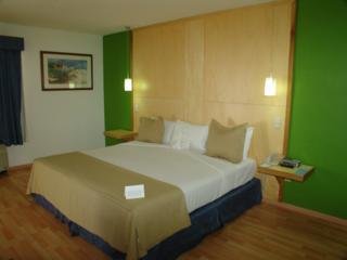 Hotel Nh Lázaro Cárdenas