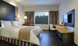 Hotel Nh Monterrey