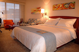 Hotel Nh Royal Cali