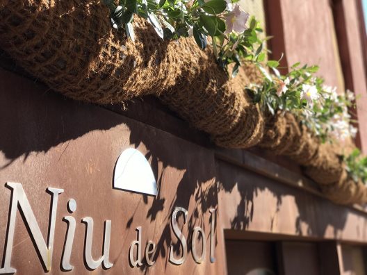 Hotel Niu Del Sol