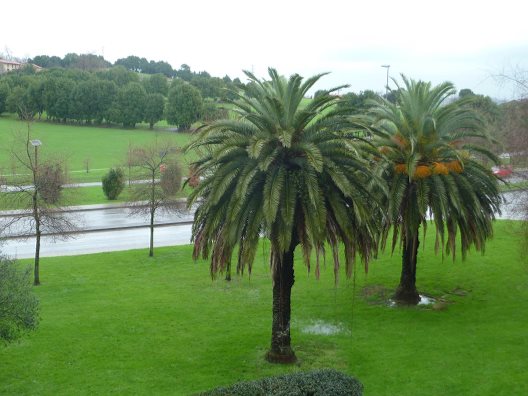 Hotel Norte