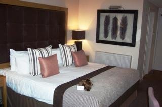 Hotel Norton House & Spa