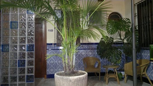 Hotel Nova Centro