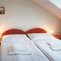 Hotel Novomestsky