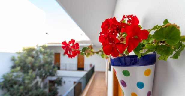 Hotel Oasis Atalaya