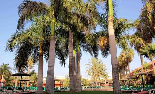 Hotel Oasis Village
