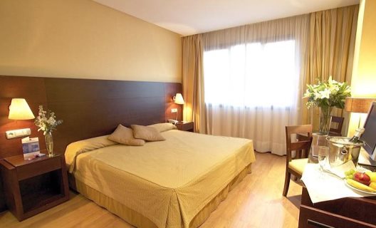 Hotel Occidental Granada