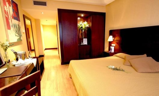Hotel Occidental Granada
