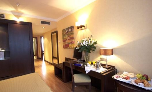 Hotel Occidental Granada