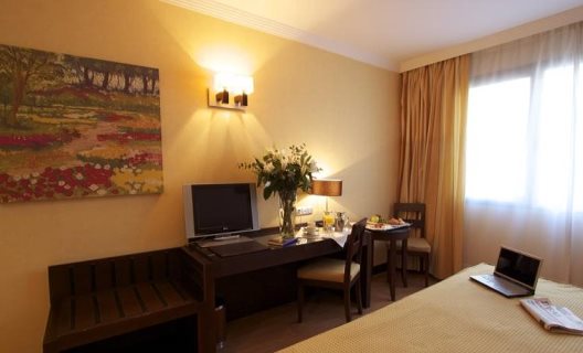 Hotel Occidental Granada