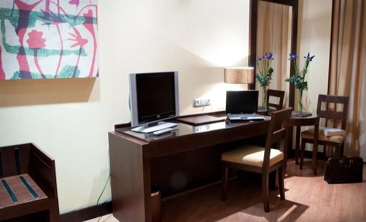 Hotel Occidental Granada