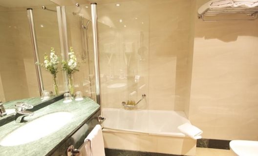 Hotel Occidental Granada