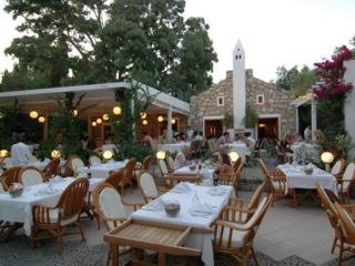 Hotel Okaliptus