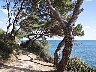 Hotel Optimal Cap Vermell Beach