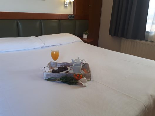 Hotel Oria
