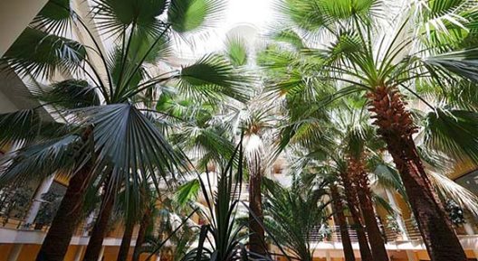 Hotel Orient Beach