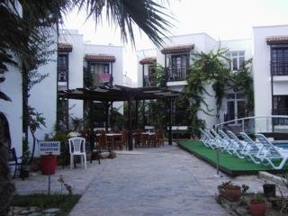 Hotel Orion