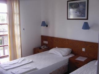 Hotel Orion