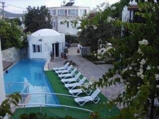 Hotel Orion