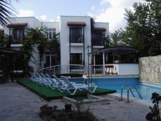 Hotel Orion
