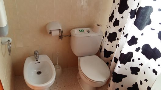Hotel Orla